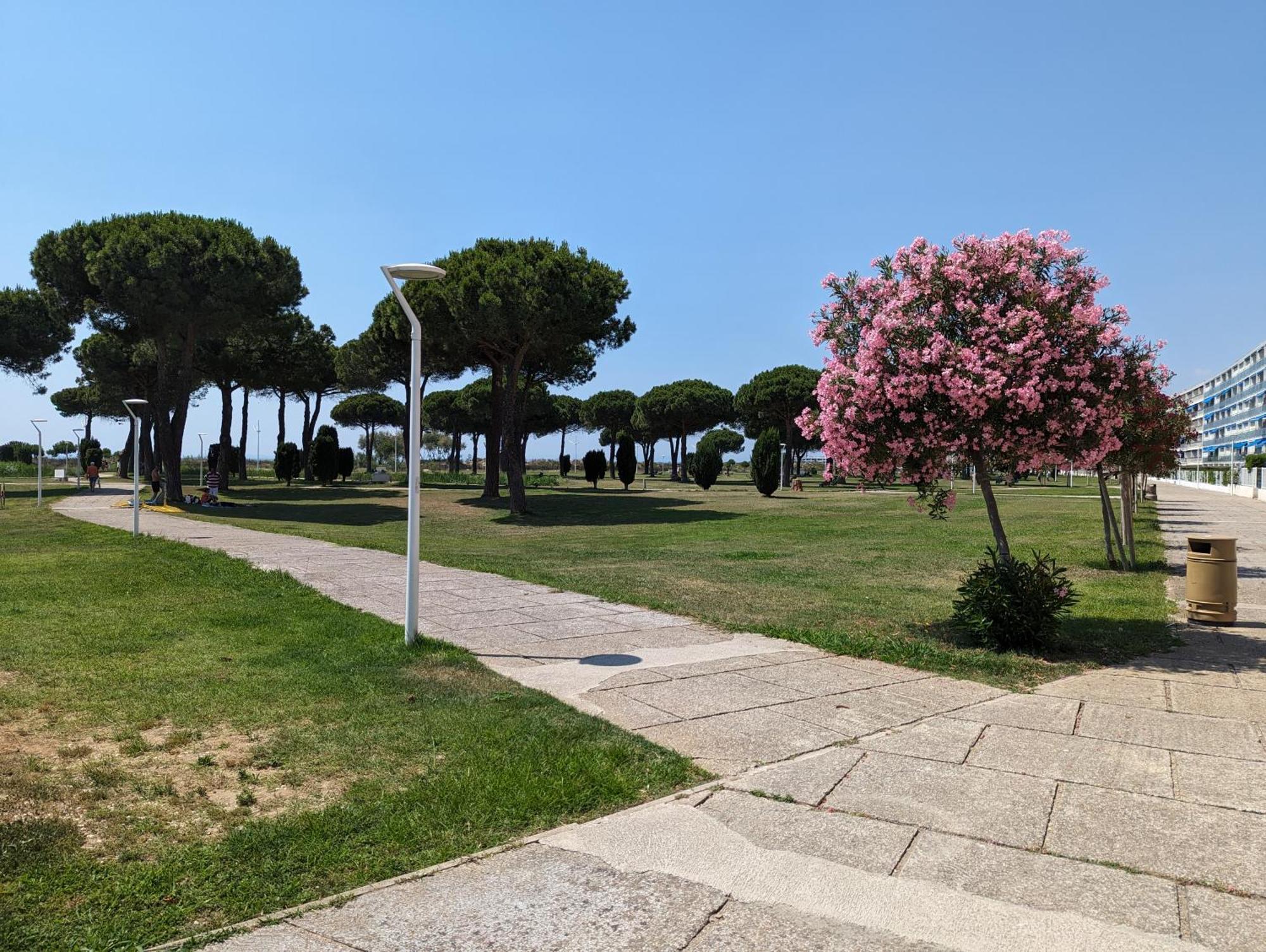 Sol-Y-Days Mathilde, Agreable Appartement En Rez-De-Jardin Avec Parking Et Un Acces Direct A La Plage Le Grau-du-Roi Exteriör bild