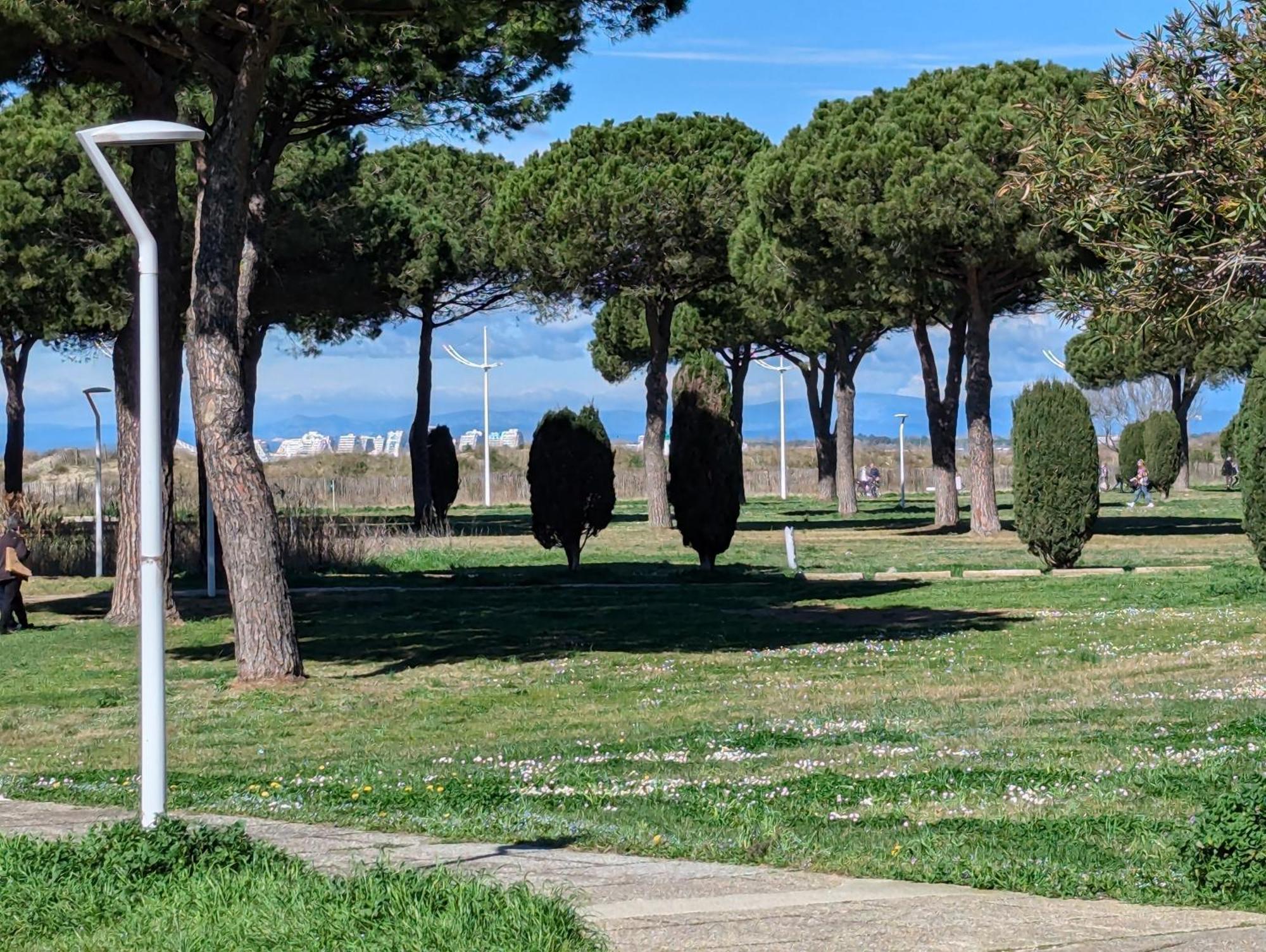 Sol-Y-Days Mathilde, Agreable Appartement En Rez-De-Jardin Avec Parking Et Un Acces Direct A La Plage Le Grau-du-Roi Exteriör bild